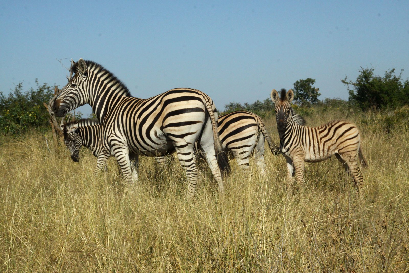 Kidepo Valley National Park